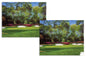 canvas prints Hole 13 Augusta National Golf Club wall art PGA Masters Azalea canvas frame gallery wrapped stretched over 3/4 inch wood frame rigid backing semi-gloss lamination wall picture photograph photo fine art print wall hanging.