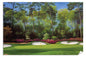 PGA Masters Augusta National Golf Club Hole 13 canvas prints Azalea canvas frame displayed on the wall with gallery wrapped stretched over 3/4 inch wood frame rigid backing semi-gloss lamination picture photograph photo fine art print wall hanging.