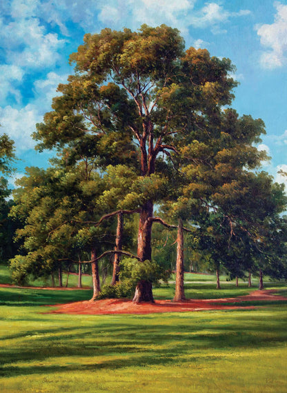 artwork Augusta National Golf Club Course Ike's Tree canvas prints PGA Golf Canvas Prints the Masters of Augusta painting print Eisenhower Tree 8x10-40x50in Art Print painting print wall artwork lithograph matte paper poster picture photograph photo fine art print for wall hanging.
