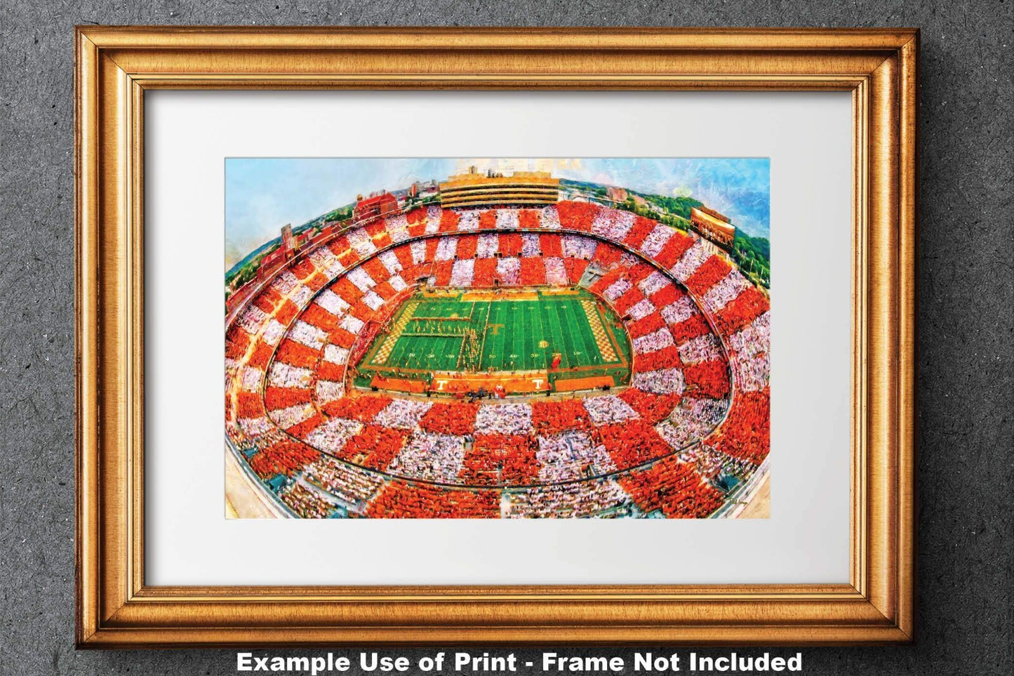 Tennessee Volunteers Neyland Stadium UT Vols NCAA Football Checkerboard 1MC1 Art Rich image Art