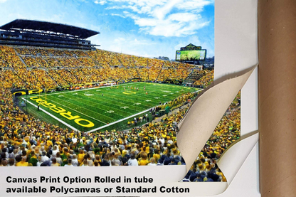 Oregon Football Autzen Stadium NCAA College Football Oregon Ducks 2MC1 Art Rich image Art