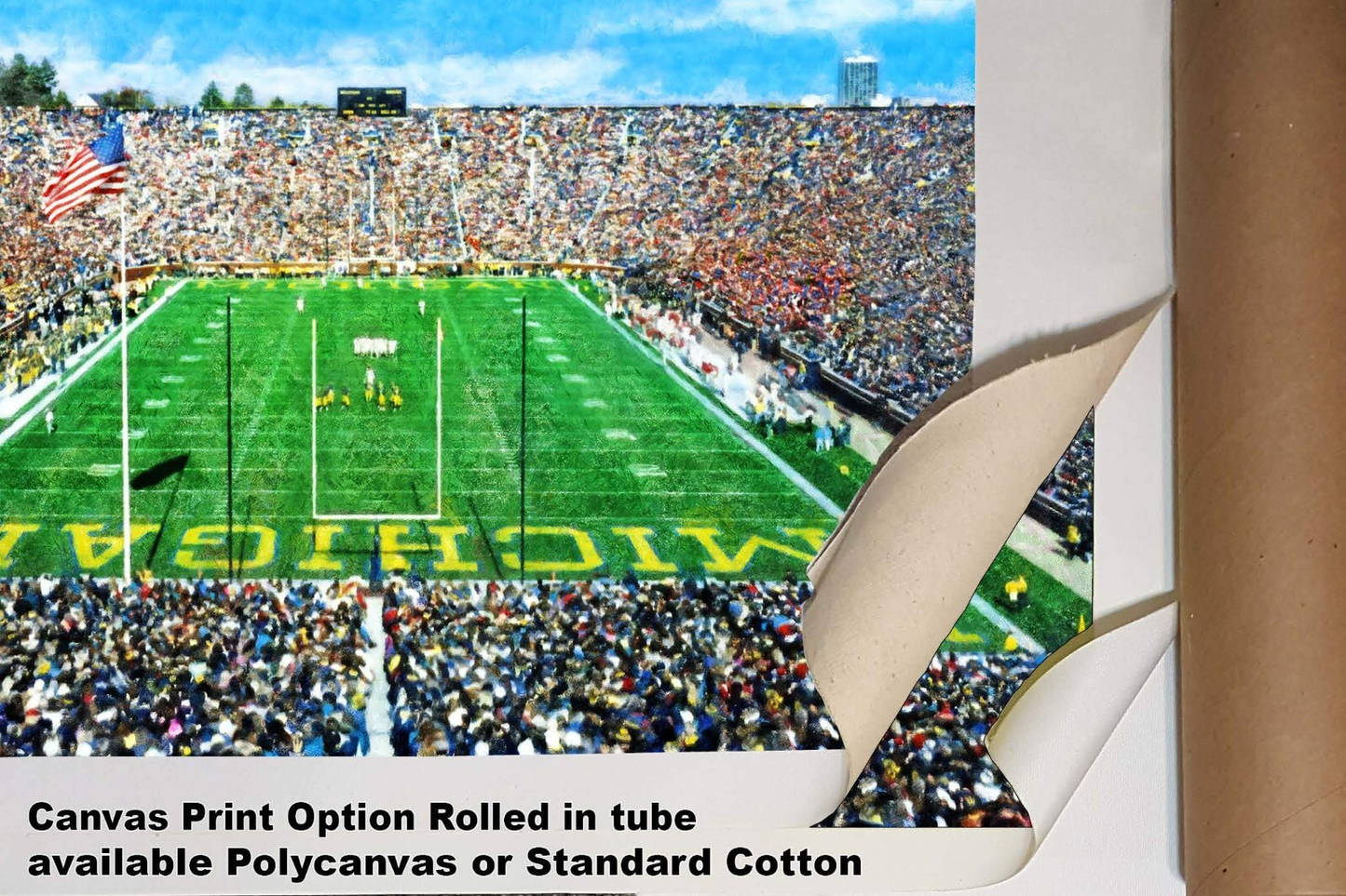 Michigan Stadium The Big House Wolverines NCAA Football 1MC1 Art Field College Rich image Art