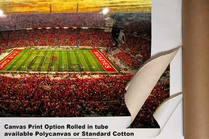 OSU Football Ohio Stadium Buckeyes NCAA College Football 1MC1 Art Rich image Art