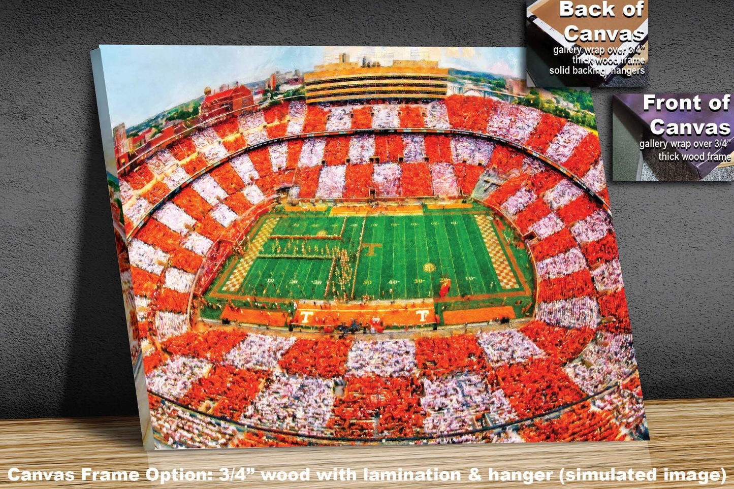 Tennessee Volunteers Neyland Stadium UT Vols NCAA Football Checkerboard 1MC1 Art Rich image Art