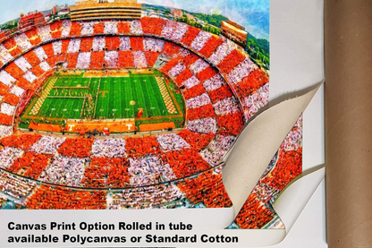 Tennessee Volunteers Neyland Stadium UT Vols NCAA Football Checkerboard 1MC1 Art Rich image Art