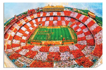 Tennessee Volunteers Neyland Stadium UT Vols NCAA Football Checkerboard 1MC1 Art Rich image Art