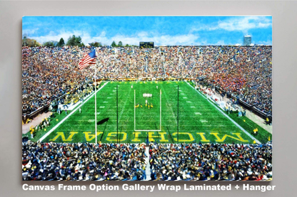 Michigan Stadium The Big House Wolverines NCAA Football 1MC1 Art Field College Rich image Art