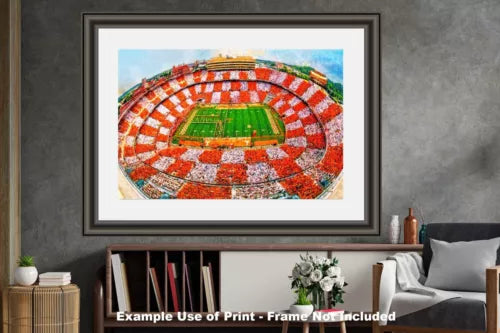 Tennessee Volunteers Neyland Stadium UT Vols NCAA Football Checkerboard 1MC1 Art 24x36 Canvas Frame Rich image Art