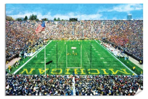 Michigan Stadium The Big House Wolverines NCAA Football 1MC1 Art Field College 24x36in Matte Paper Print Rich image Art