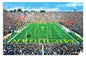 Michigan Stadium The Big House Wolverines NCAA Football 1MC1 Art Field College 24x36in Matte Paper Print Rich image Art