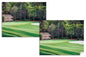 Augusta National Golf Hole 11 White Dogwood PGA 11Ri2 Painting Wall Art Print 8.5x11sin Matte Paper Print Rich image Art